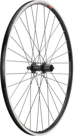 Urban Acera V-Brake DT Swiss 535 28" Laufradsatz -Fahrrad Rabatte 396798
