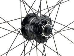 Mountain Alivio Disc 6-Loch DT Swiss 466d 29" Laufradsatz -Fahrrad Rabatte 399626