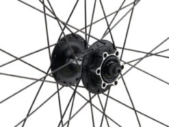 Mountain Alivio Disc 6-Loch DT Swiss 466d 29" Laufradsatz -Fahrrad Rabatte 399633